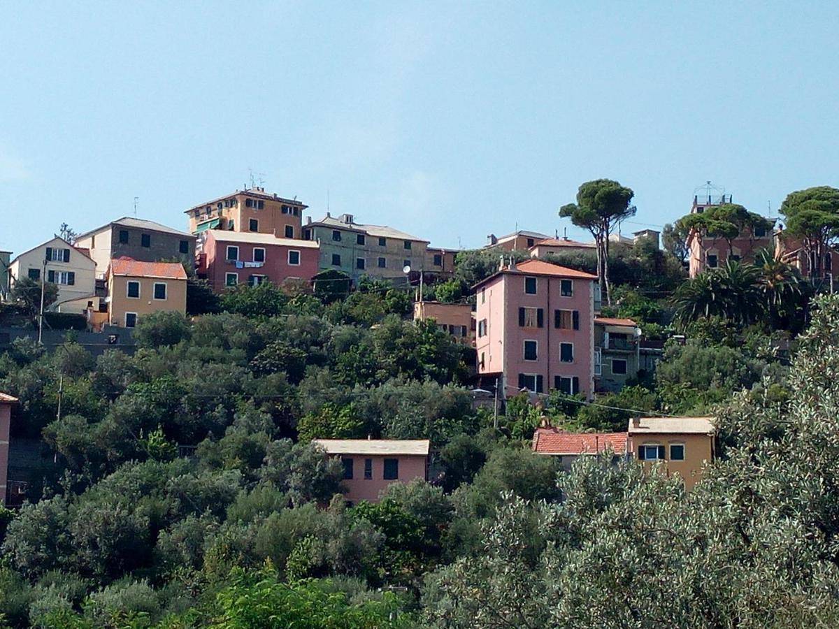 ジェノヴァ Villino "Il Rustichetto"ヴィラ エクステリア 写真